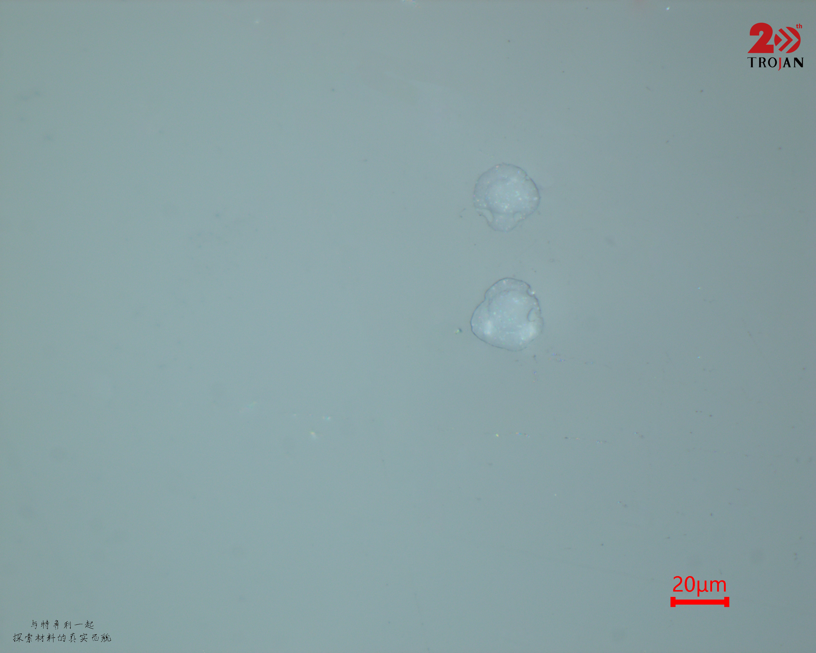 Fine structural detail of polymer fibers