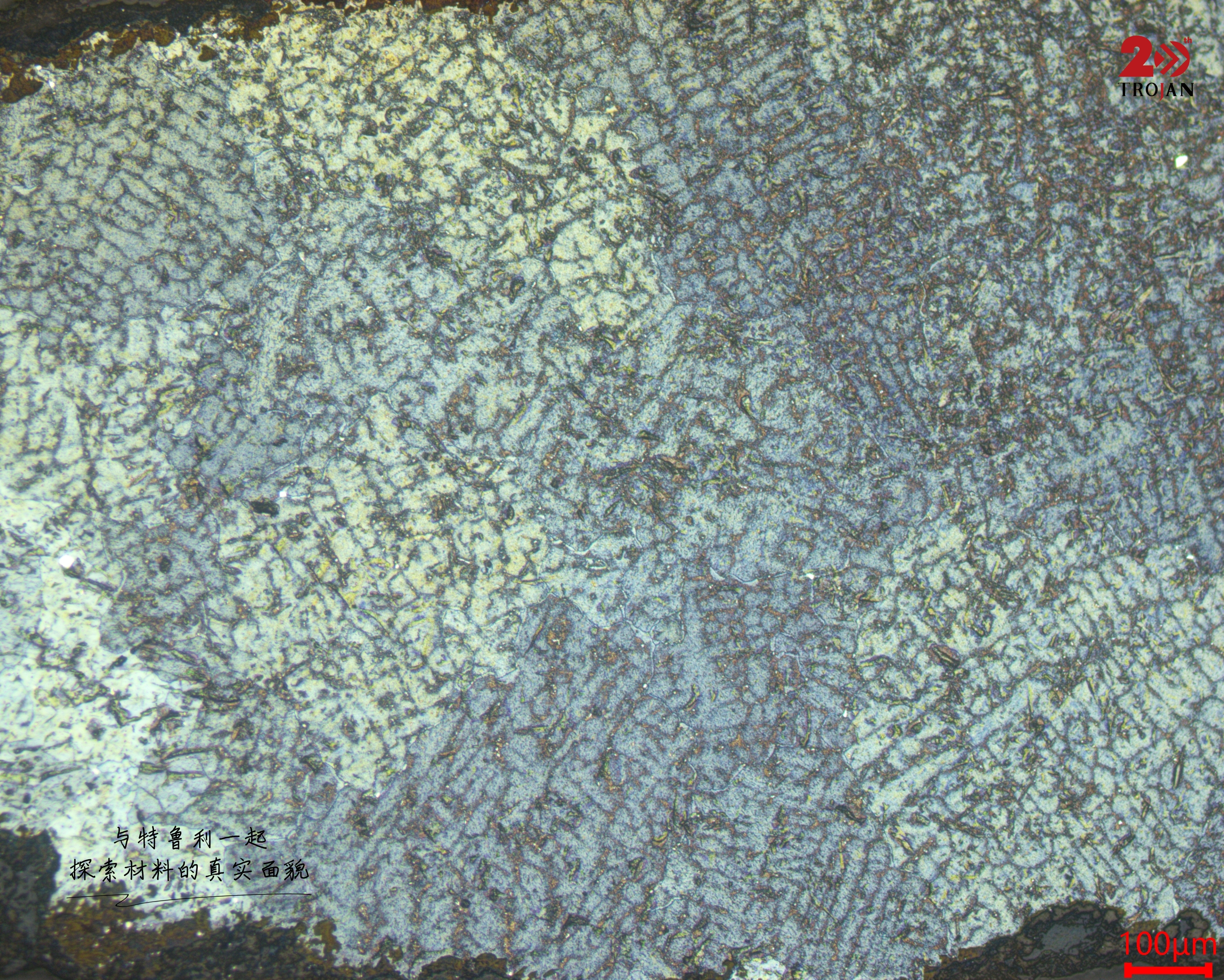 Microstructure Details