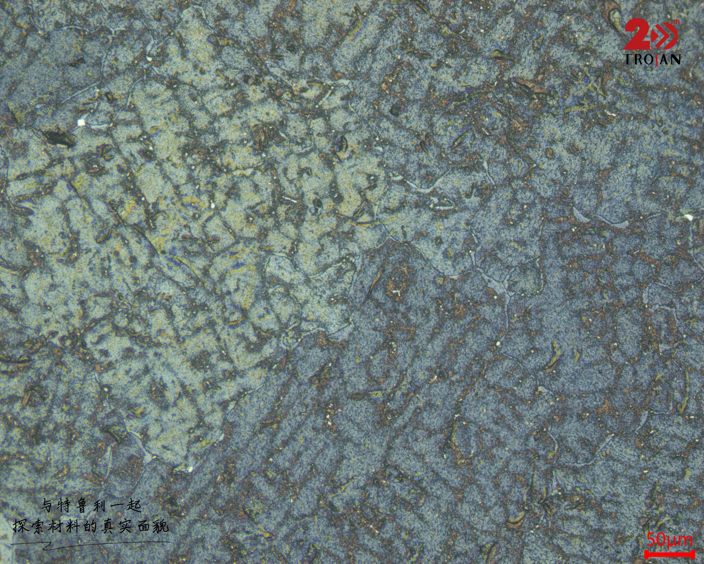 Polished Microstructure